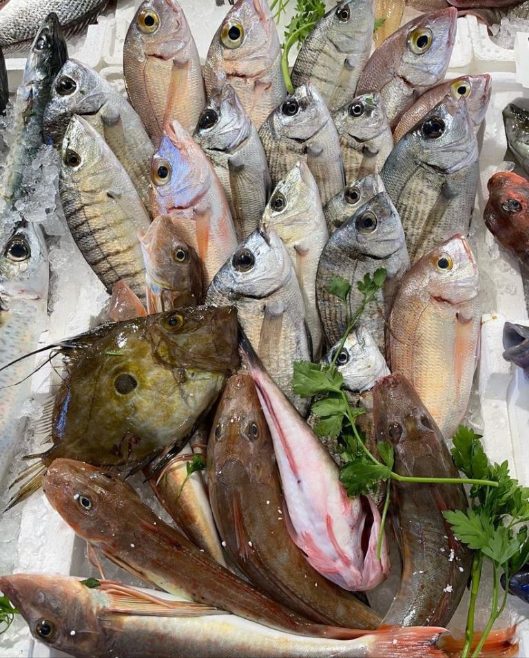 varietà dei pesci di pescheria pallotta